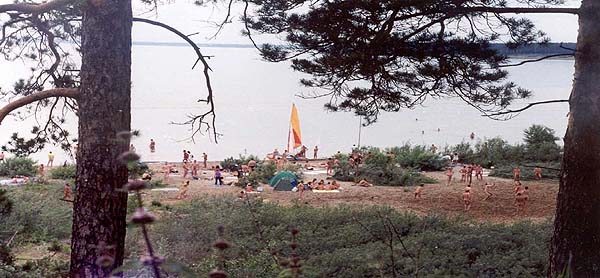 натур-пляжа Академгородка